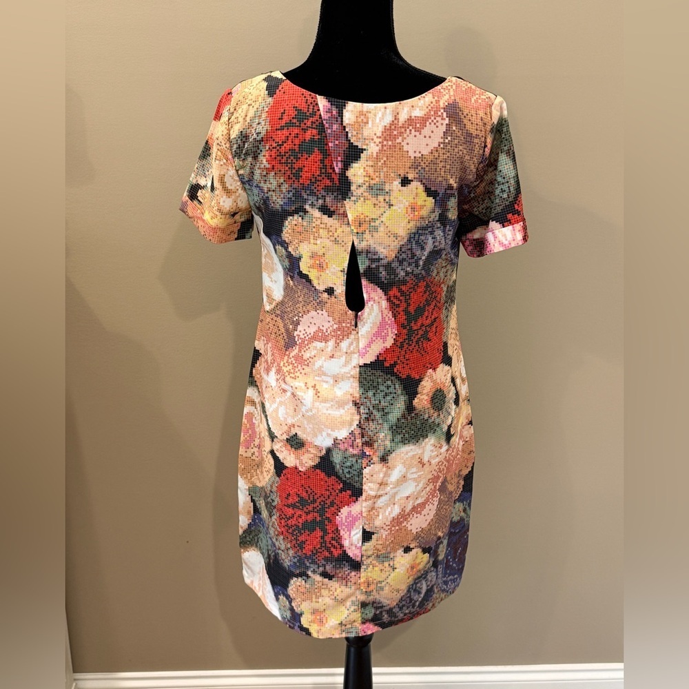 Women’s Anthropologie RANNA GILL Fanned Vingette Shift Mini Dress- Size 10 - Picture 6 of 8